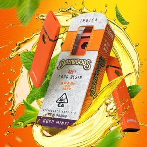 Dabwoods Disposables Gush Mintz