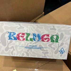 Alternative view of BELUGA 3G DISPOS