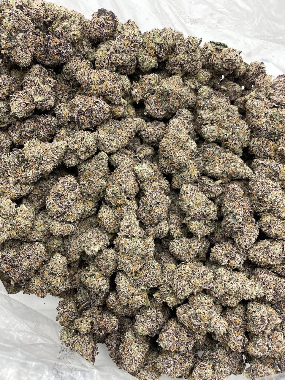 Hawaiian Runtz - Image 2