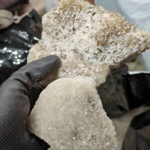 Alternative view of MDMA -  Champagne