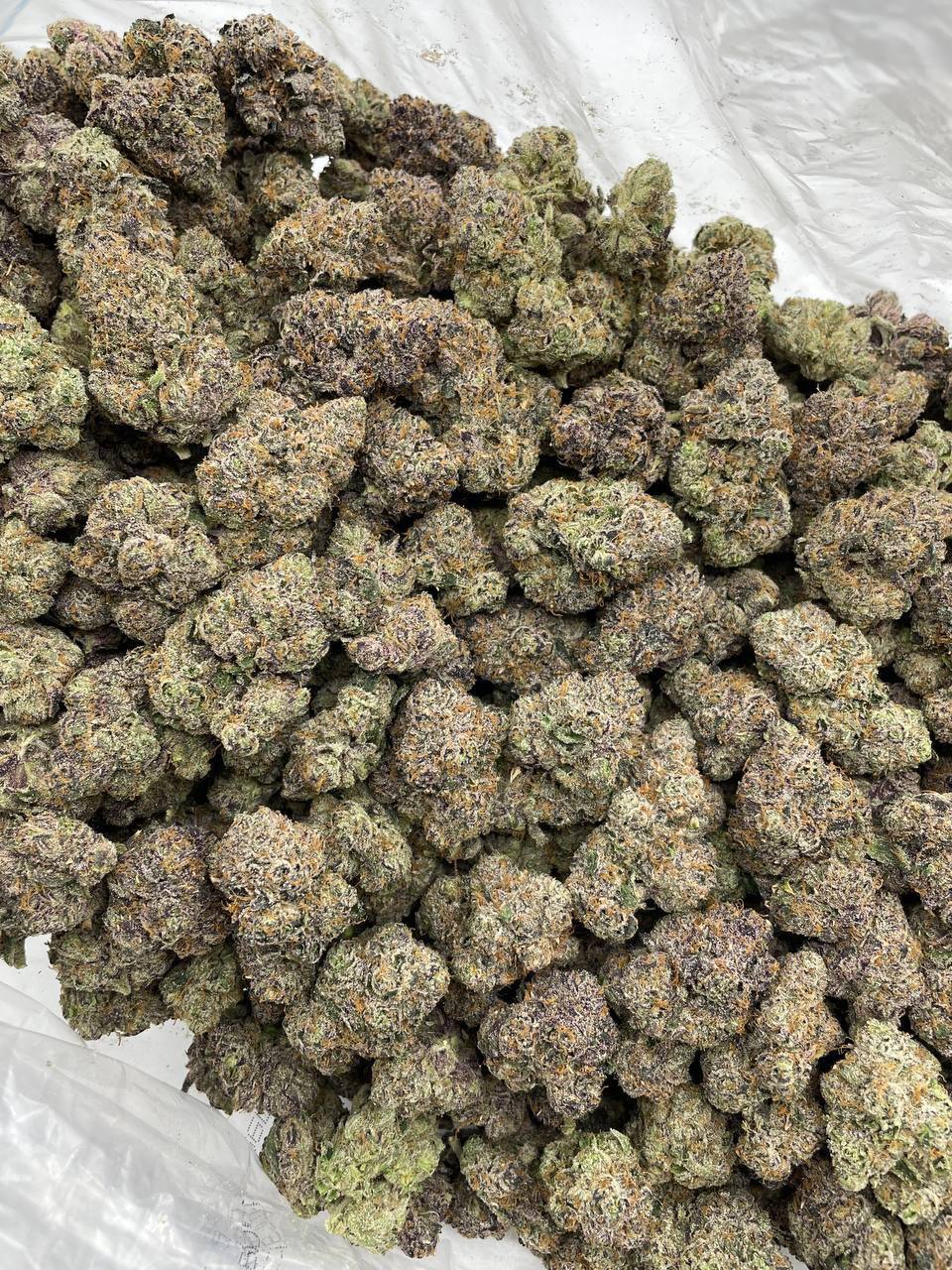 Candy Whammerz - Image 2