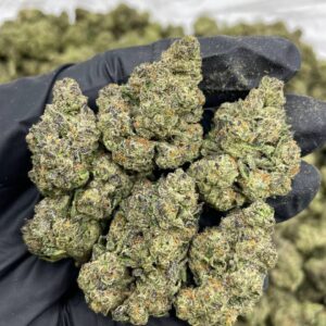 Grape Gobstopper Kush