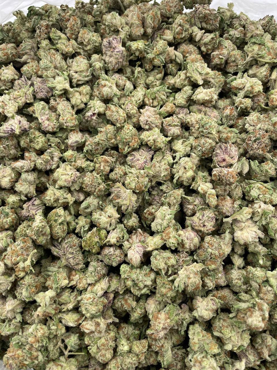 Cherry zourz smalls - Image 2