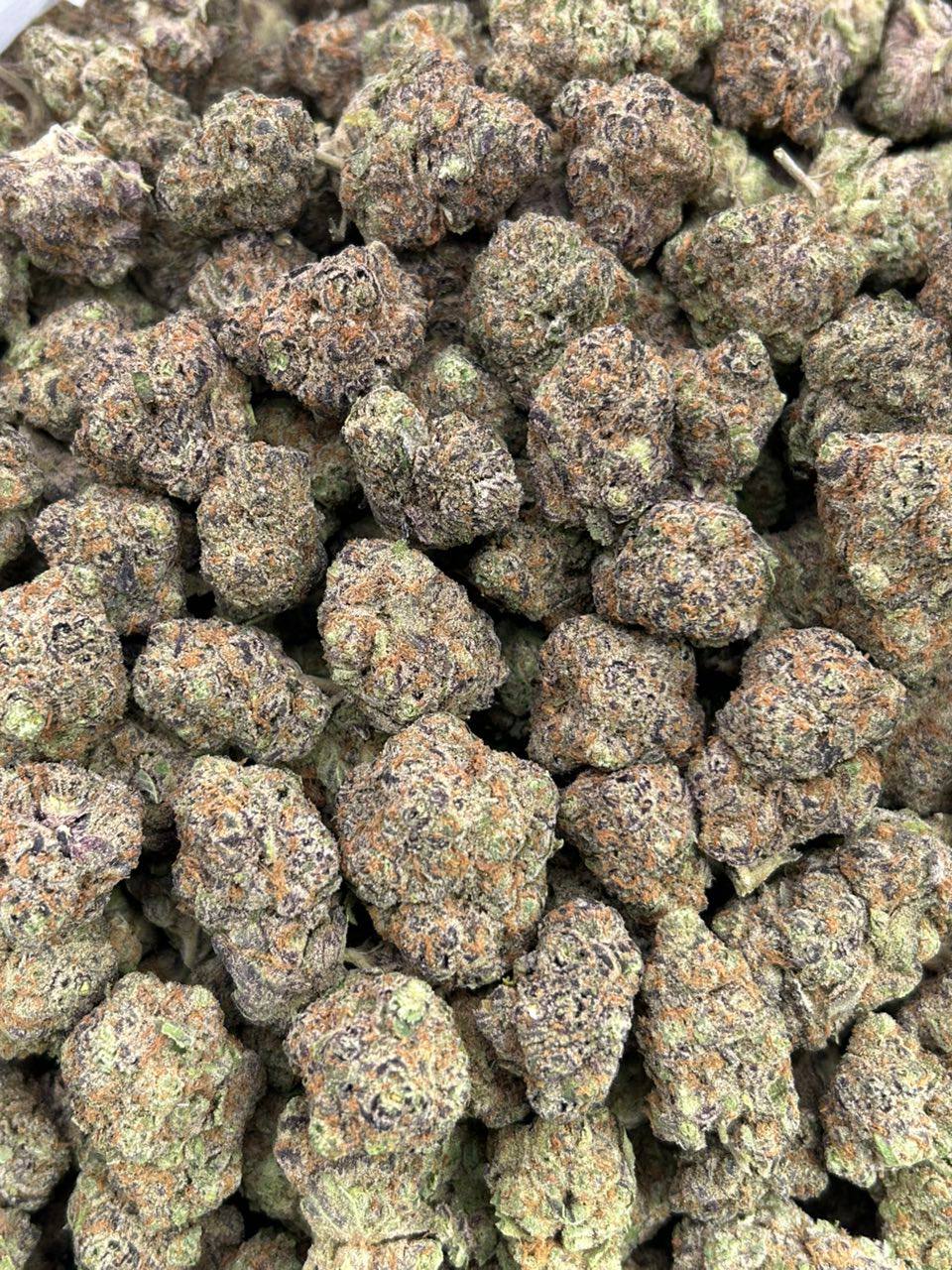 Glazed Apricot Gelato - Image 2