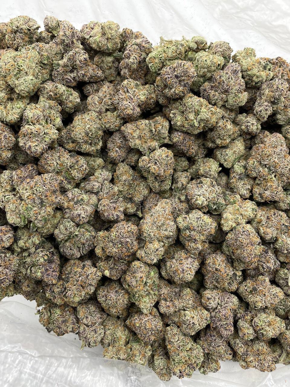 Cherry Popz - Image 2