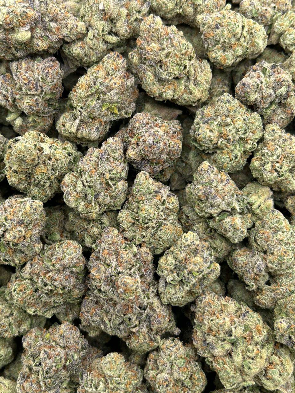 Velvet Gushers - Image 2